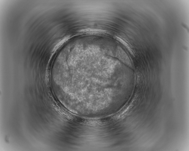 X0000096471074200802141652