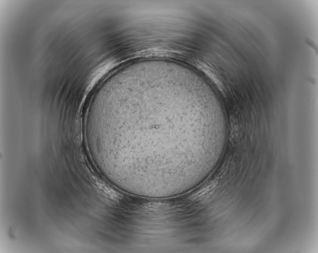 X0000096471075200802141652