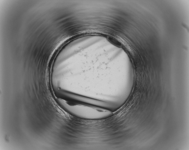 X0000096471076200802141652