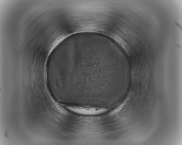 X0000096471077200802141652