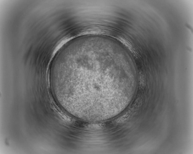 X0000096471078200802141652