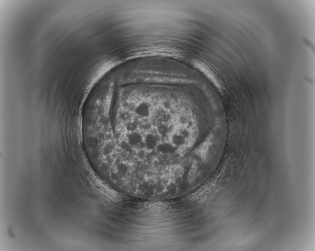 X0000096471079200802141652