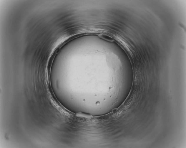 X0000096471080200802141652