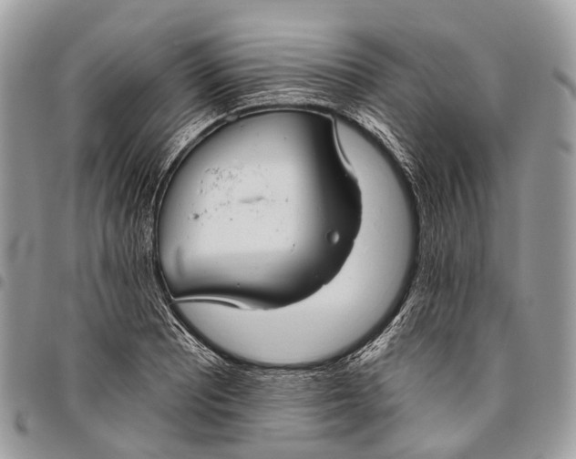 X0000096471081200802141652