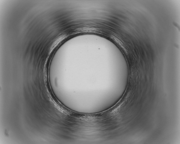 X0000096471082200802141652