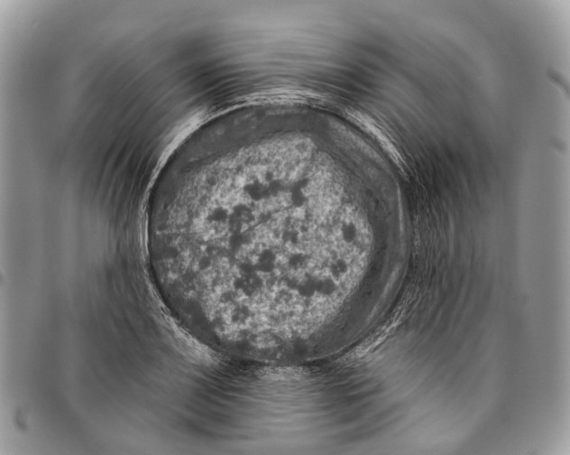 X0000096471083200802141652