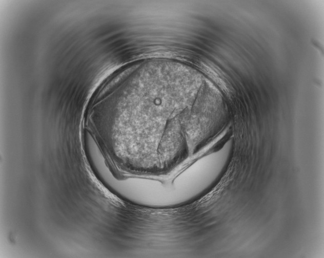 X0000096471084200802141652