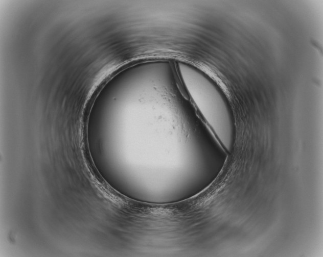 X0000096471085200802141652