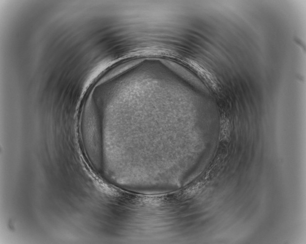 X0000096471086200802141652