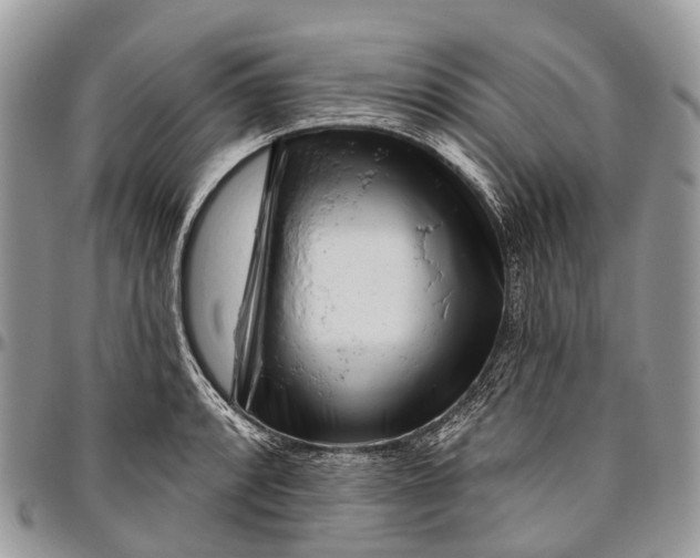 X0000096471088200802141652