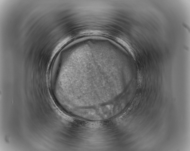 X0000096471090200802141652