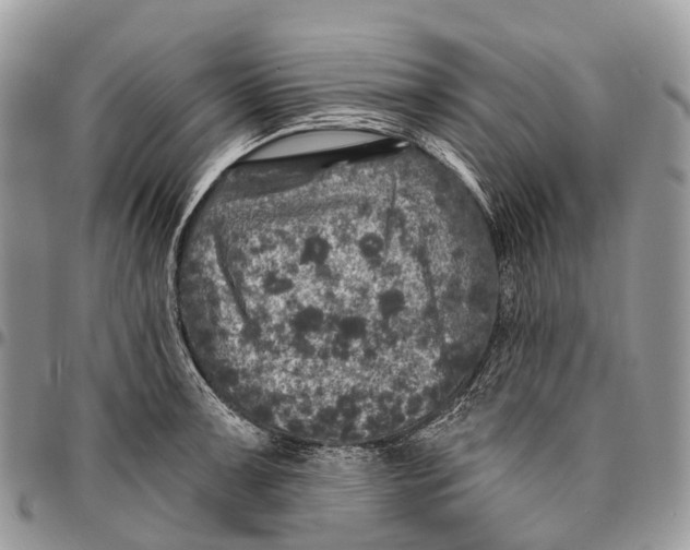 X0000096471091200802141652