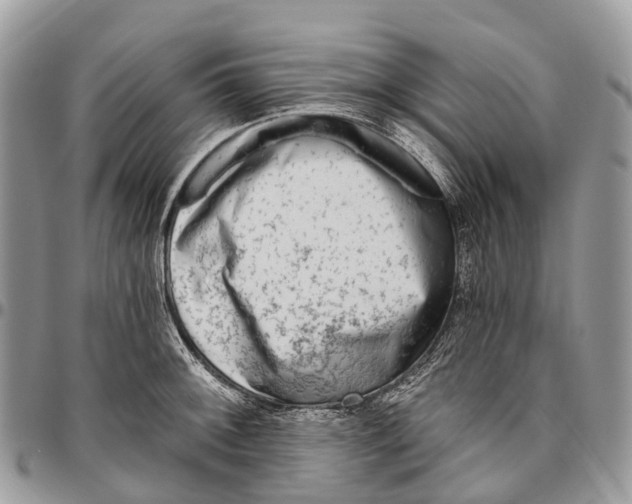 X0000096471092200802141652