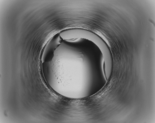 X0000096471093200802141652