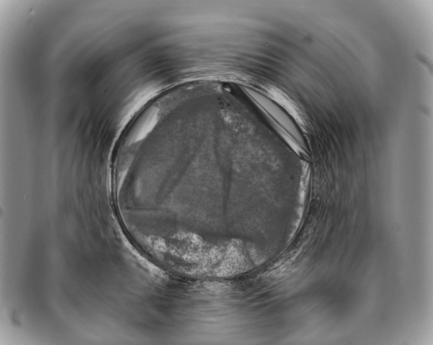 X0000096471095200802141652