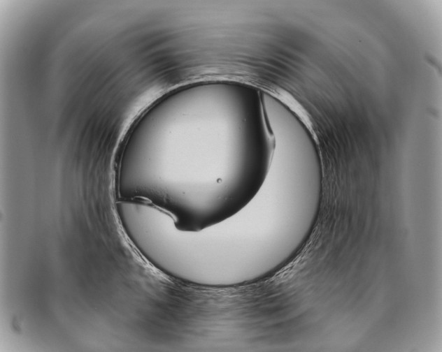 X0000096471096200802141652