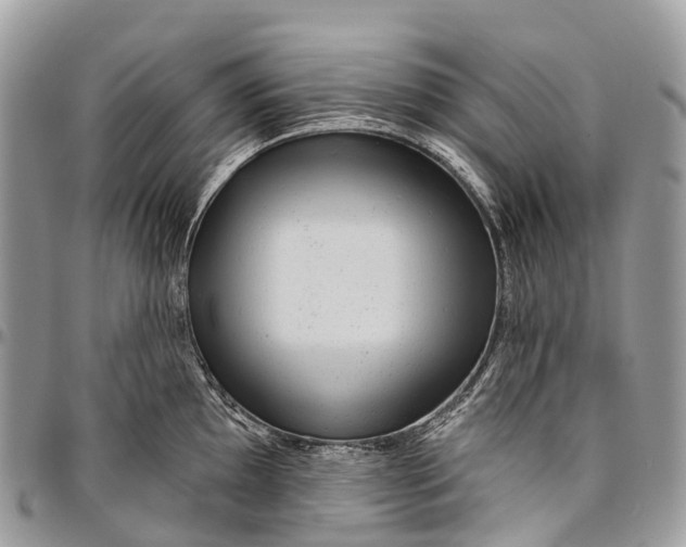 X0000096471097200802141652