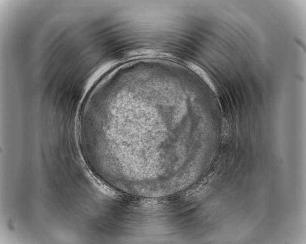 X0000096471098200802141652