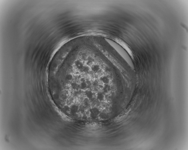 X0000096471099200802141652