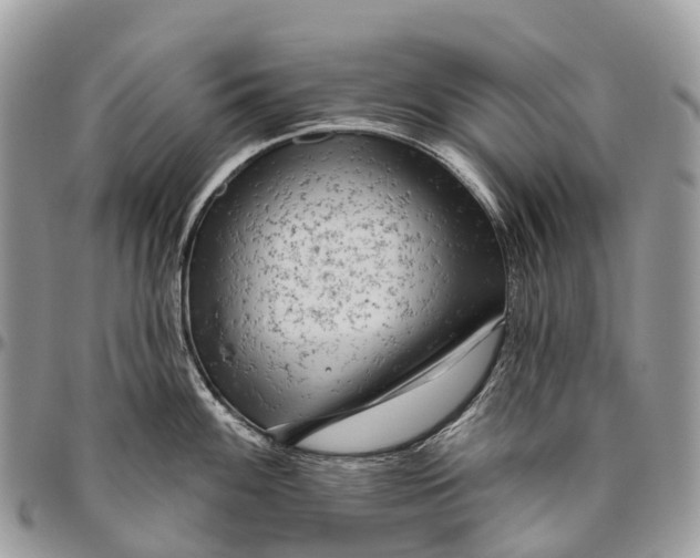 X0000096471100200802141652