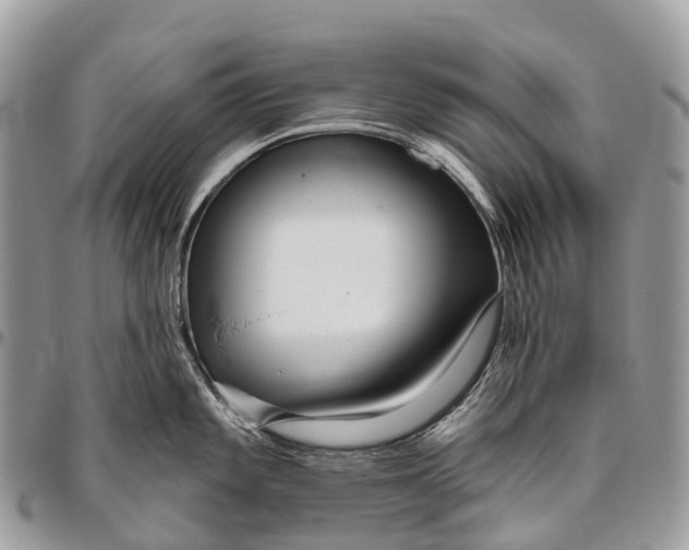 X0000096471101200802141652