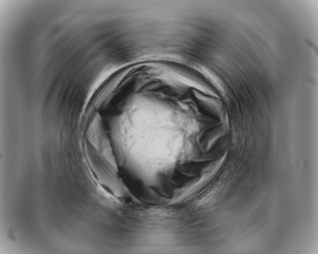 X0000096471102200802141652