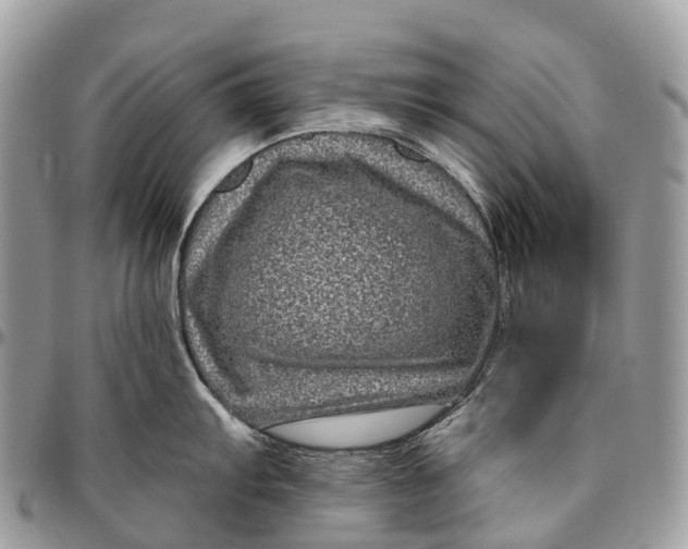 X0000096471103200802141652