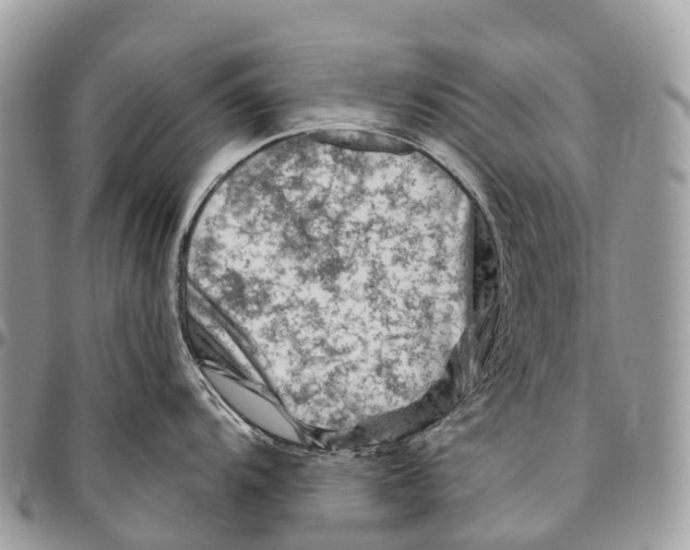 X0000096471104200802141652