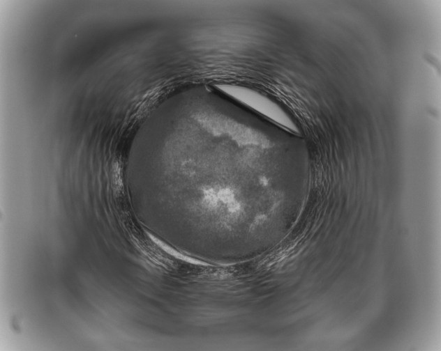 X0000096471106200802141651