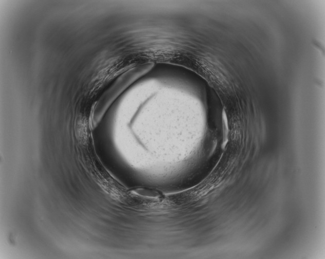 X0000096471108200802141651