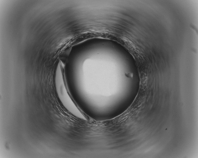 X0000096471110200802141651