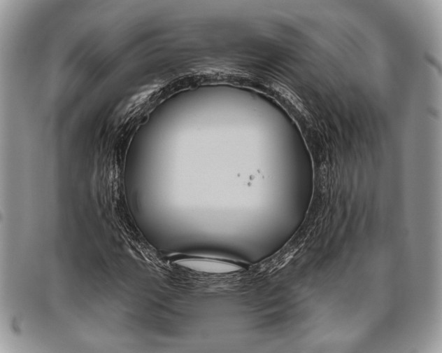 X0000096471111200802141651