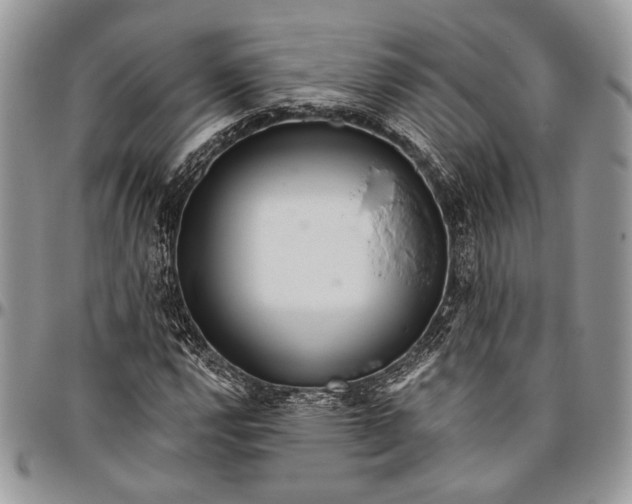 X0000096471112200802141651