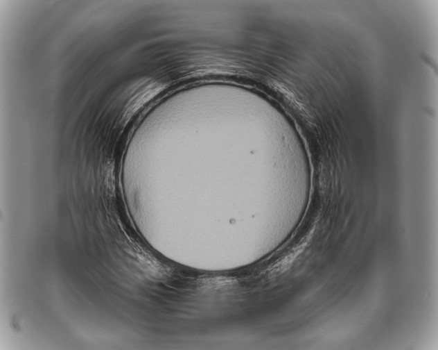 X0000096471113200802141651