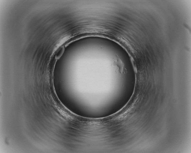 X0000096471114200802141651