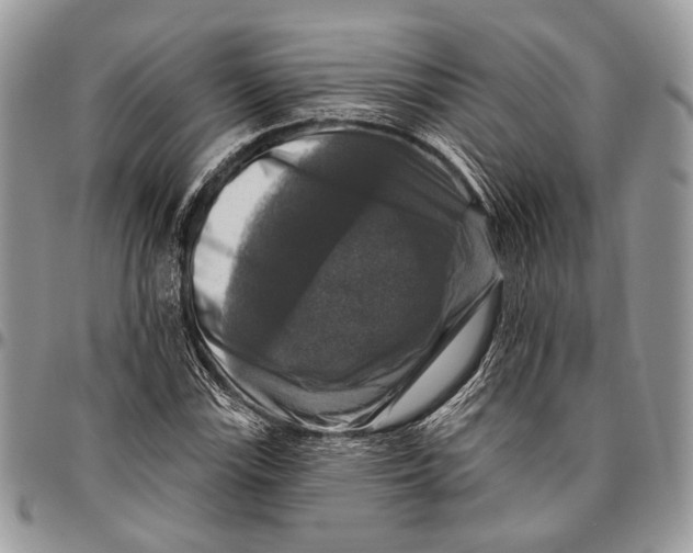 X0000096471115200802141651