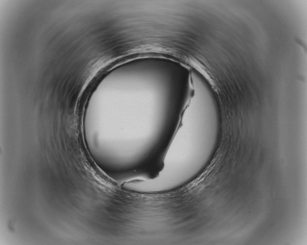 X0000096471116200802141651