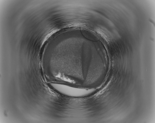 X0000096471117200802141651