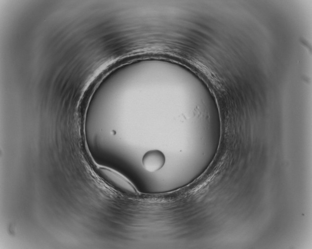 X0000096471118200802141651