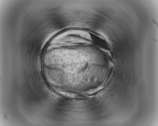 X0000096471120200802141651