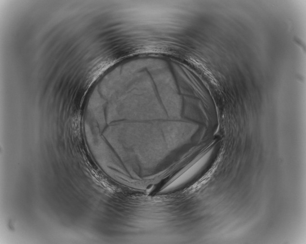 X0000096471121200802141651