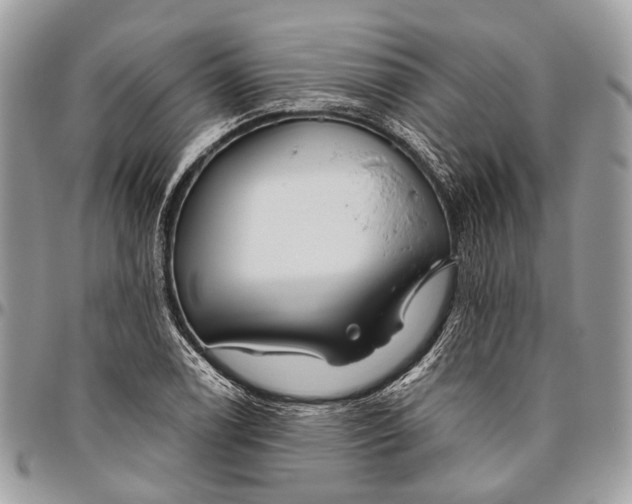 X0000096471122200802141651