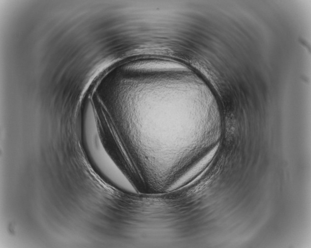 X0000096471123200802141651