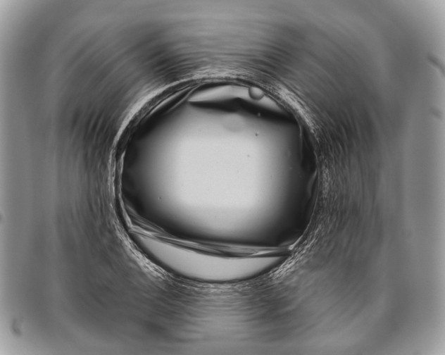 X0000096471124200802141651