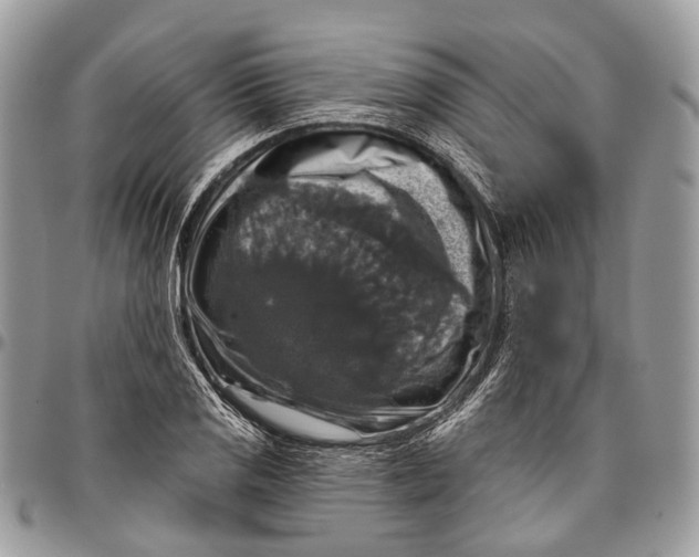 X0000096471125200802141651