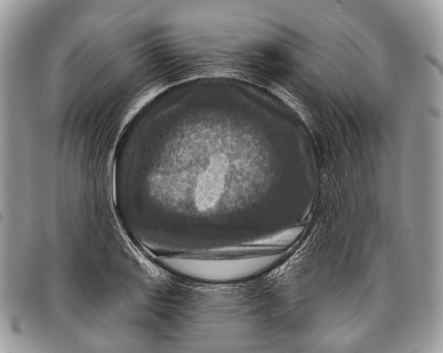 X0000096471127200802141651