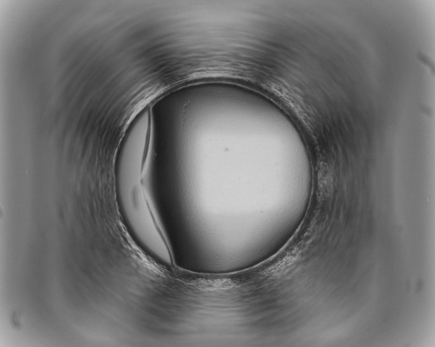 X0000096471129200802141652