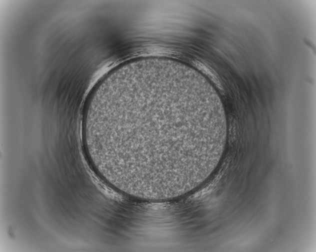 X0000096471130200802141652