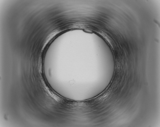 X0000096471131200802141652