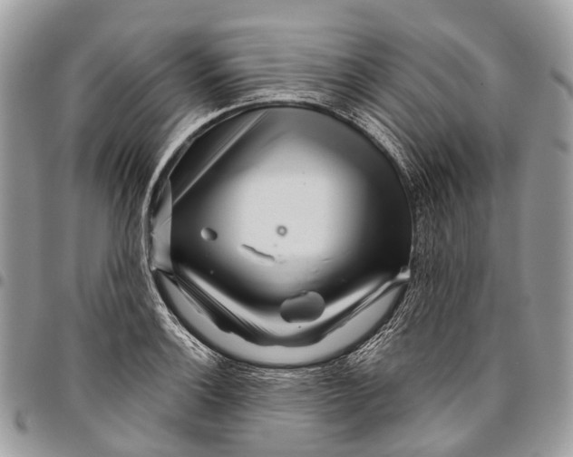 X0000096471132200802141652